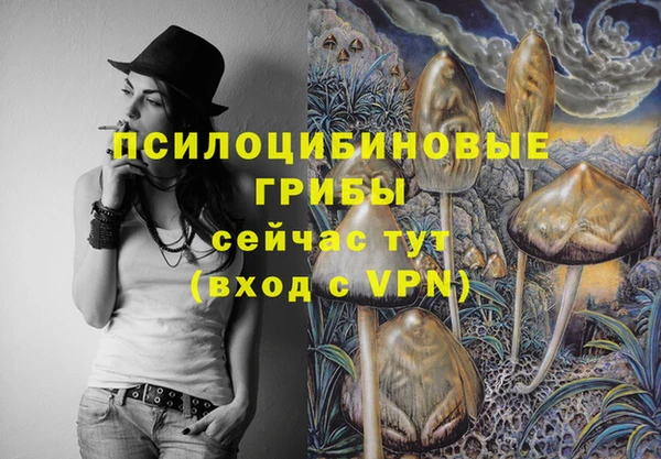 стафф Алзамай