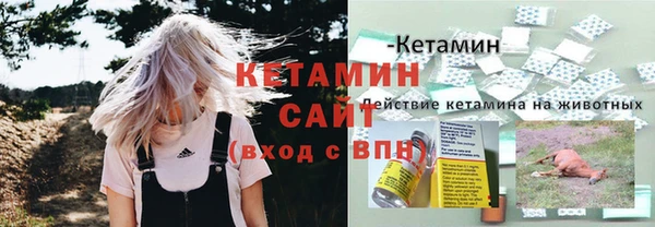 стафф Алзамай