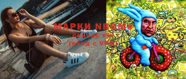 гашик Алексеевка